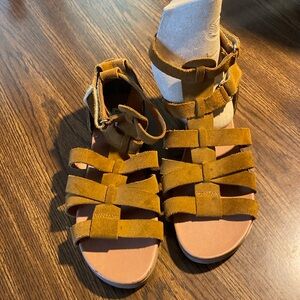 Size 8.5 gladiator sandals by Steve Madden